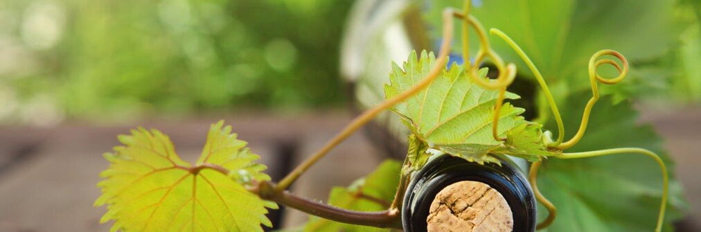 Liegende Weinflasche mit Weinlaub