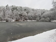 Spitzgrundteich im Winter