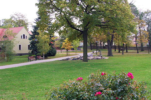 Im Bürgerpark Weg mit Bänken im Bürgerpark
