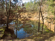 Seerosenteich