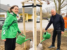 v. l.: Bürgermeisterin Friederike Trommer und Manfred Trache, zweiter Bürgermeister a.D., beim Angießen der frisch gepflanzten Eiche.