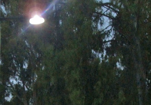 LED-Leuchte im Dunklen
